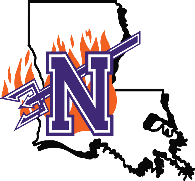 Northwestern State Demons 2000-2007 Primary Logo diy DTF decal sticker